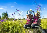 Wandern rund um Oberwiesenthal, Wanderstiefel mit Blumen auf Wiese, Oberwiesenthal.