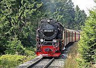 Ausflugstipp: Brockenbahn, Dampflok der Brockenbahn fährt durch grüne Wälder im Harz.