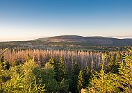 Brocken, Harz, Blick auf den Brocken im Harz, umgeben von grünen Wäldern.