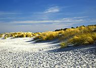 Dünen in Holland, Sonnige Dünenlandschaft in Holland unter klarem, blauem Himmel.