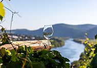 Mosel Impression