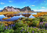 Naturlandschaft Island, Islandische Landschaft mit Bergen, See und blühenden Lupinen.