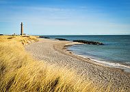 Skagen, Leuchtturm bei Skagen an der Ostsee mit goldenem Strandgras.