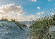 Dünen an der Nordsee, Dünenlandschaft an der Nordsee unter blauem Himmel.