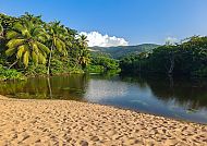 Guadeloupe, Tropische Idylle mit Palmen und ruhigem Wasser in Guadeloupe., Tropische Oase mit Palmen und ruhigem Wasser auf Guadeloupe.