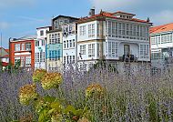 Ferrol, Bunte Häuser in Ferrol mit blühendem Lavendelfeld im Vordergrund., Bunte Häuser und blühende Gärten in Ferrol, Spanien.