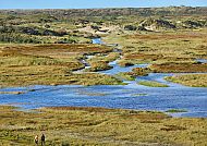 Texel, Weite Dünenlandschaft auf Texel mit malerischem Flusslauf., Weite Dünenlandschaft mit Wasserläufen auf Texel, Westeuropas Küsten.