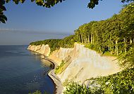 Rügen Buchenwälder über den Kreidefelsen im Nationalpark Jasmund