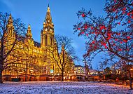 Wien, Wiener Rathaus im weihnachtlichen Glanz bei Abenddämmerung.