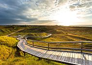 Bohlenweg durch die Dünen auf Norderney