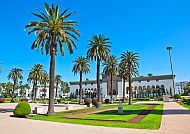 Palmen und Architektur in Casablanca, Marokko
