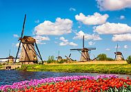 Malerische Landschaften, Windmühlen und Tulpenfelder unter blauem Himmel in Holland.