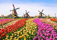 Frühling in Holland