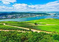 Rüdesheim Weinberge, Weinberge von Rüdesheim mit Blick auf den Rhein unter blauem Himmel.