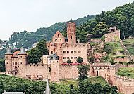 Schloss Wertheim vor grüner Waldkulisse, malerisch und historisch.