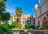 Historische Architektur und Palmen in Palma de Mallorca