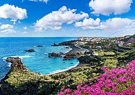 Küstenlandschaft von La Palma mit blauem Meer und blühenden Blumen