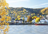 , Herbstliche Rheinlandschaft in Boppard mit buntem Laub und Fluss.