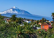 Majestätischer Teide auf Teneriffa mit Palmen und blauen Himmel.